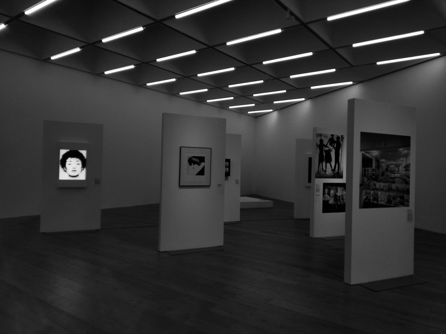 Cómo las plataformas digitales impulsan el arte